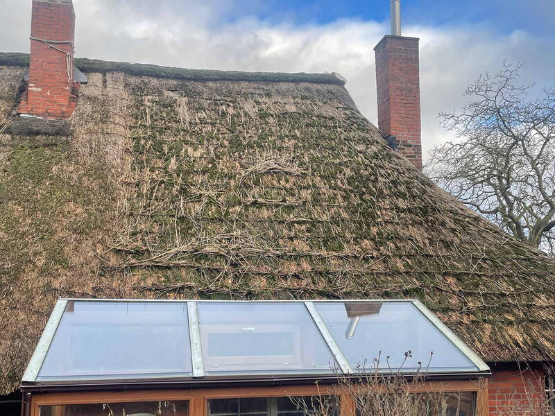 Reetdach vor der Überdeckung